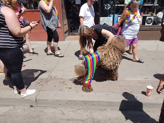 Pride Parade in Toronto